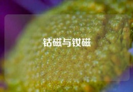 鈷磁與釹磁