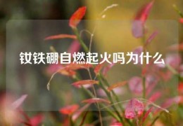 釹鐵硼自燃起火嗎為什么