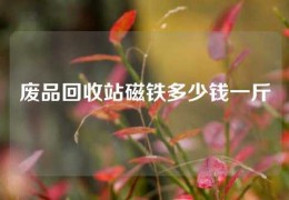 廢品回收站磁鐵多少錢一斤