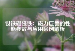 釹鐵硼磁鐵：磁力巨獸的性能參數與應用案例解析