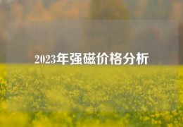 2023年強磁價格分析