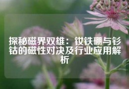 探秘磁界雙雄：釹鐵硼與釤鈷的磁性對決及行業應用解析