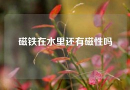 磁鐵在水里還有磁性嗎