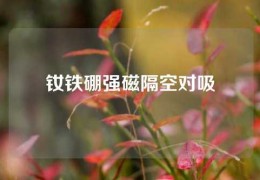 釹鐵硼強(qiáng)磁隔空對(duì)吸