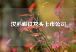 汝鵬磁鐵龍頭上市公司