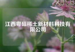 江西粵磁稀土新材料科技有限公司