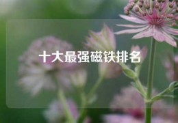 十大最強磁鐵排名