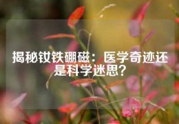 揭秘釹鐵硼磁：醫學奇跡還是科學迷思？