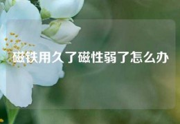 磁鐵用久了磁性弱了怎么辦