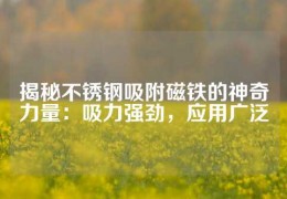 揭秘不銹鋼吸附磁鐵的神奇力量：吸力強勁，應(yīng)用廣泛