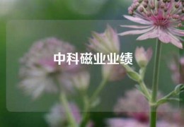 中科磁業(yè)業(yè)績