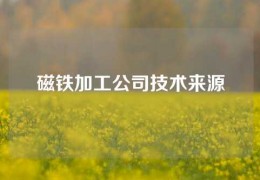 磁鐵加工公司技術(shù)來源