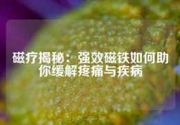 磁療揭秘：強效磁鐵如何助你緩解疼痛與疾病