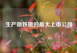 生產(chǎn)銣鐵硼的最大上市公司