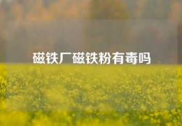 磁鐵廠磁鐵粉有毒嗎