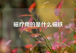 磁療用的是什么磁鐵