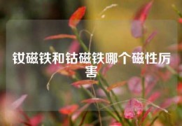 釹磁鐵和鈷磁鐵哪個磁性厲害