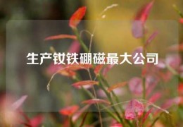 生產(chǎn)釹鐵硼磁最大公司