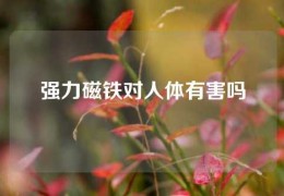 強力磁鐵對人體有害嗎