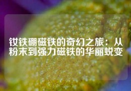 釹鐵硼磁鐵的奇幻之旅：從粉末到強力磁鐵的華麗蛻變