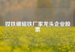 釹鐵硼磁鐵廠家龍頭企業股票