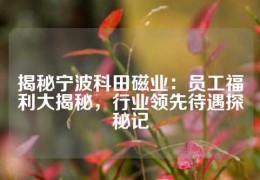 揭秘寧波科田磁業：員工福利大揭秘，行業領先待遇探秘記