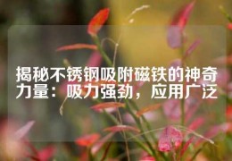 揭秘不銹鋼吸附磁鐵的神奇力量：吸力強勁，應(yīng)用廣泛