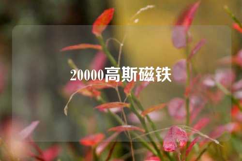 20000高斯磁鐵