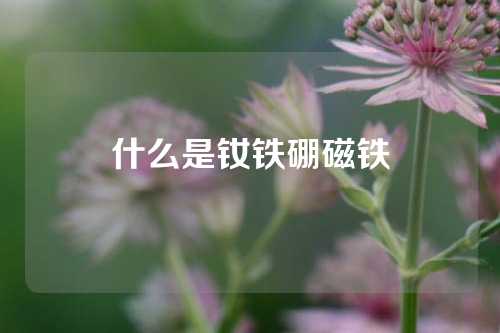 什么是釹鐵硼磁鐵