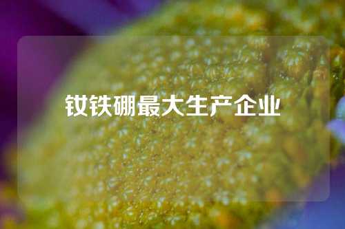 釹鐵硼最大生產(chǎn)企業(yè)