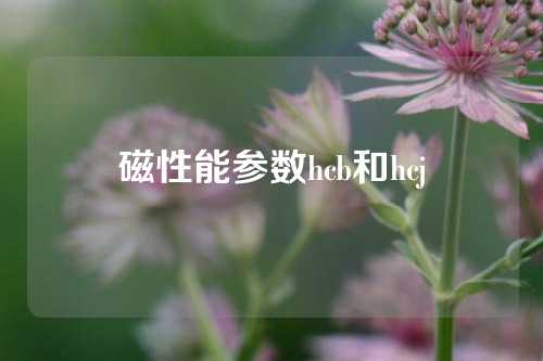 磁性能參數(shù)hcb和hcj