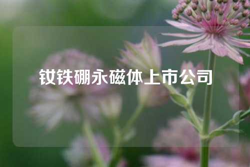 釹鐵硼永磁體上市公司