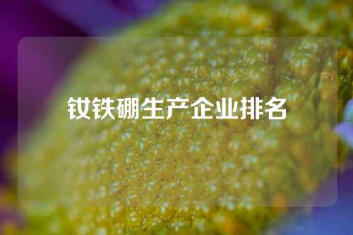 釹鐵硼生產(chǎn)企業(yè)排名