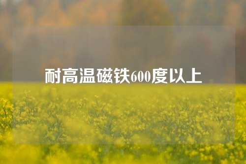 耐高溫磁鐵600度以上