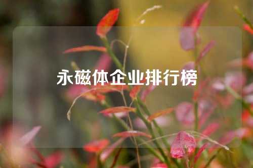 永磁體企業(yè)排行榜