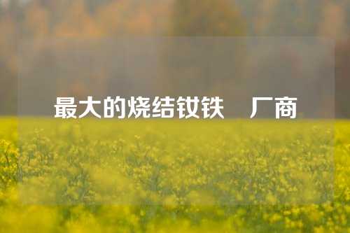 最大的燒結釹鐵錋廠商