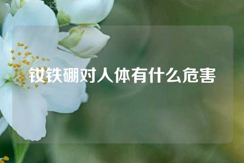 釹鐵硼對(duì)人體有什么危害