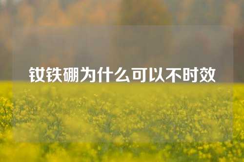 釹鐵硼為什么可以不時效