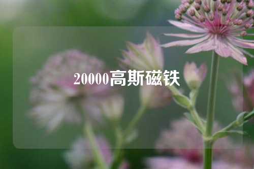 20000高斯磁鐵