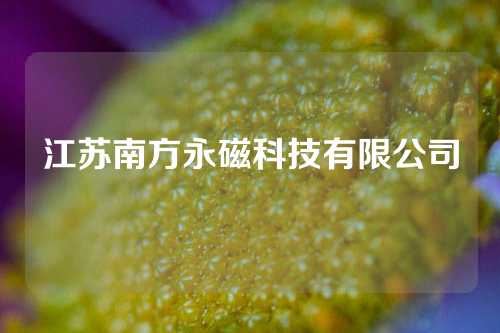 江蘇南方永磁科技有限公司