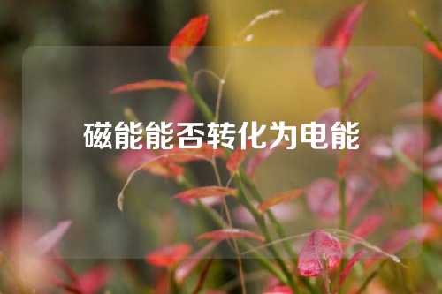 磁能能否轉(zhuǎn)化為電能