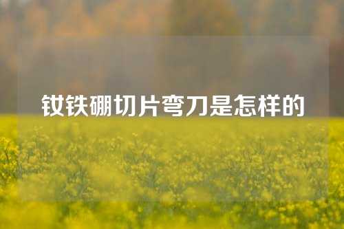 釹鐵硼切片彎刀是怎樣的