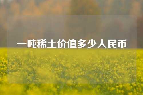 一噸稀土價值多少人民幣