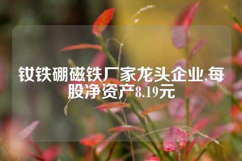 釹鐵硼磁鐵廠家龍頭企業(yè),每股凈資產(chǎn)8.19元