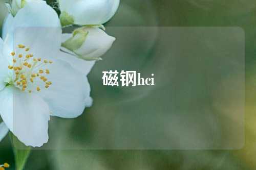 磁鋼hci