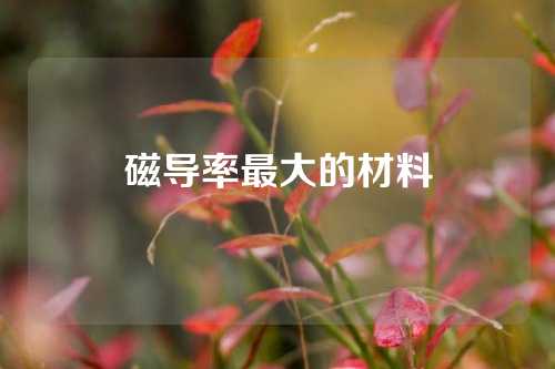 磁導(dǎo)率最大的材料