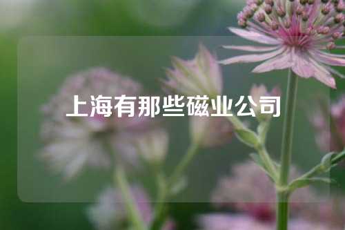 上海有那些磁業公司