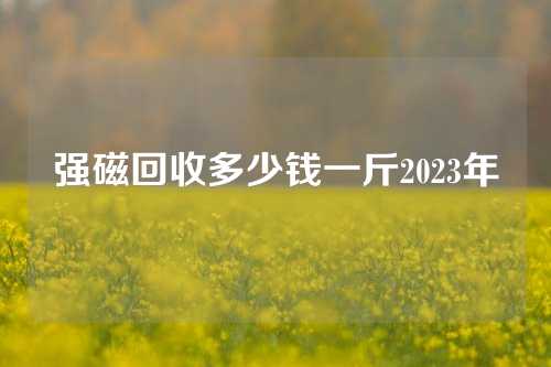 強磁回收多少錢一斤2023年