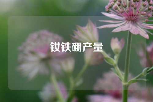 釹鐵硼產(chǎn)量