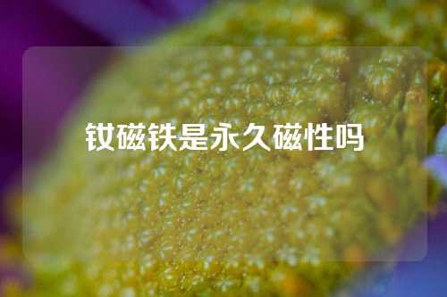 釹磁鐵是永久磁性嗎